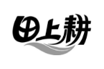 田上耕