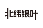 北纬银叶