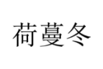 荷蔓冬