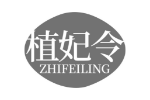 植妃令