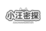 小汪密探