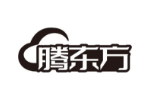 腾东方