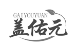 盖佑元