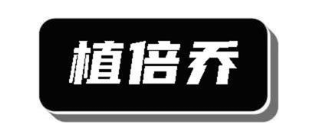 植倍乔