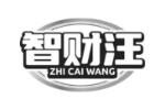 智财汪