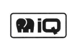 IQ