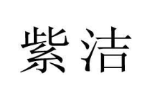 紫洁