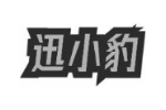 迅小豹