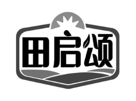 田启颂