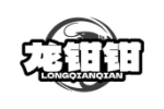 龙钳钳