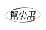 智小卫ZIXAVIEH