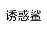 诱惑鲨