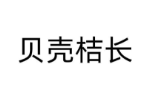 贝壳桔长