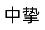 中挚