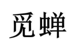 觅蝉