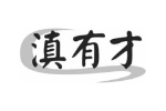 滇有才