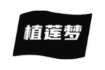 植莲梦
