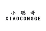小聪哥