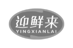 迎鲜来