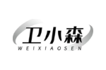 卫小森