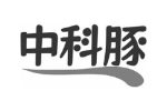 中科豚