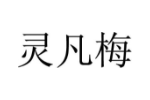 灵凡梅