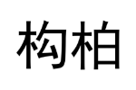 构柏