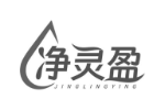 净灵盈