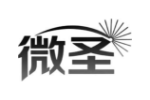 微圣