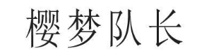 樱梦队长