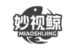 妙视鲸