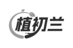 植初兰