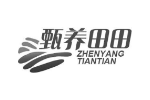 甄养田田