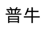 普牛