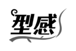 型感