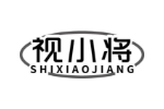 视小将