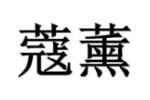 蔻薰