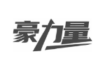 豪力量