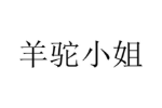 羊驼小姐