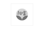 阳宝