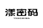 漾密码