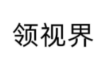 领视界