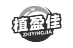 植盈佳