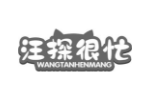 汪探很忙