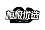 桓极优选