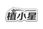植小星
