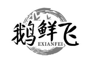 鹅鲜飞