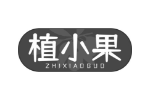 植小果