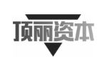 顶丽资本