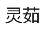 灵茹